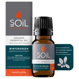 WINTERGREEN 10ML